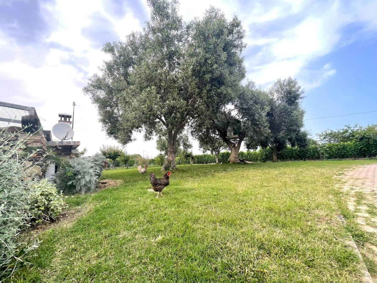 Le Corti Sarde Sea Breeze Villa Bari Sardo Kültér fotó